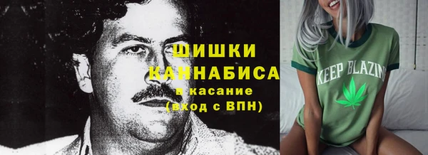 прущие грибы Белоозёрский