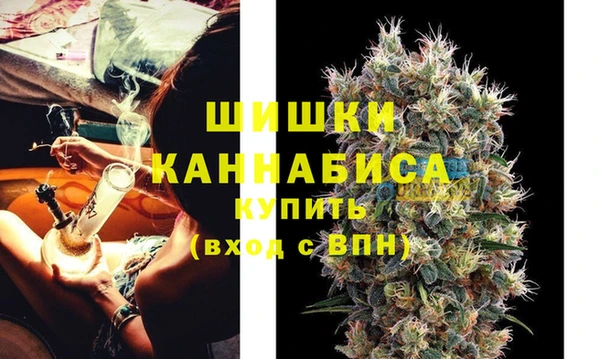 прущие грибы Белоозёрский