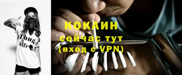 прущие грибы Белоозёрский