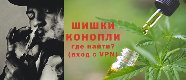 прущие грибы Белоозёрский