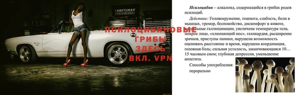 прущие грибы Белоозёрский