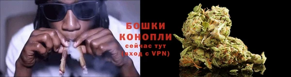 прущие грибы Белоозёрский
