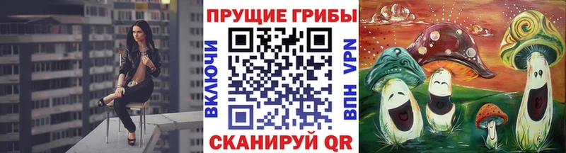 Галлюциногенные грибы мицелий Великие Луки